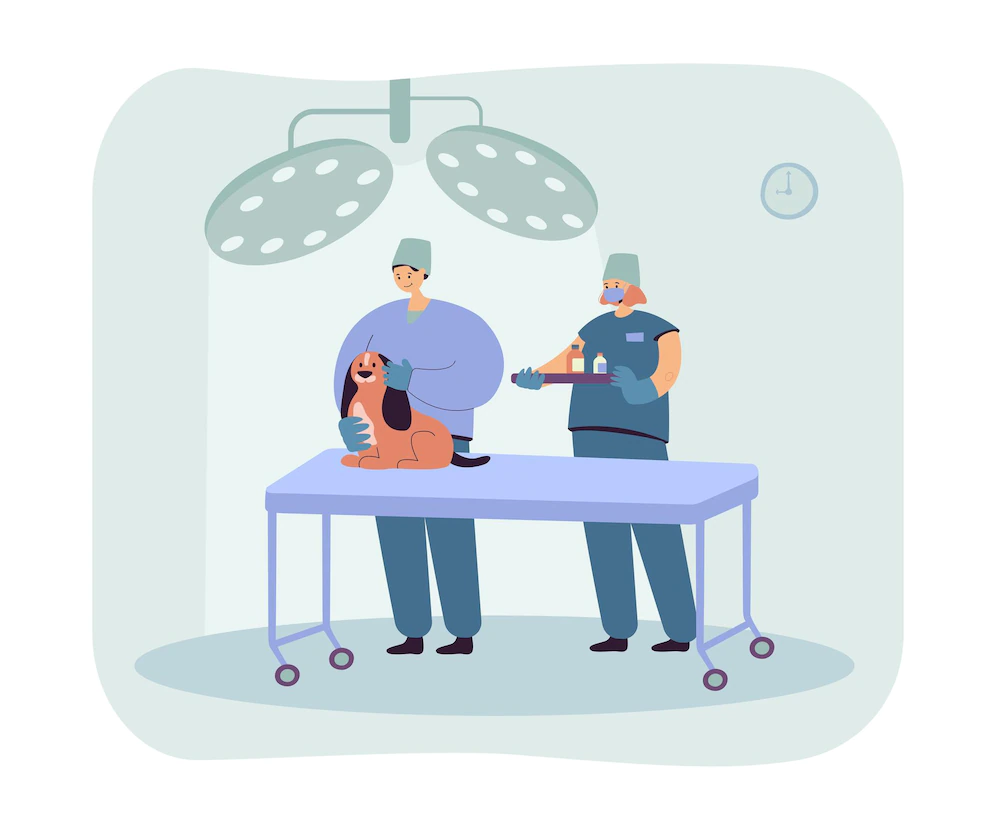 Illustration ASV